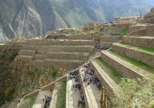 rows on terraces that form an inca ruin down a mountain side